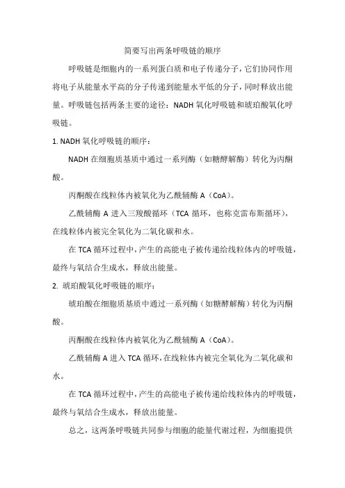 简要写出两条呼吸链的顺序