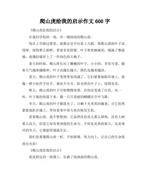 爬山虎给我的启示作文600字