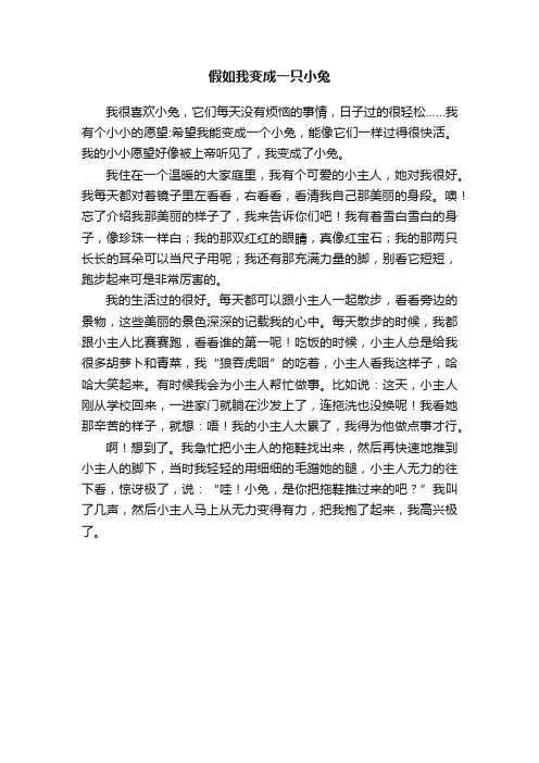 假如我变成一只小兔