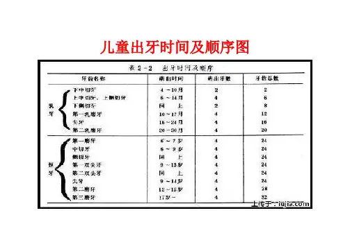 儿童出牙及换牙顺序图[1]
