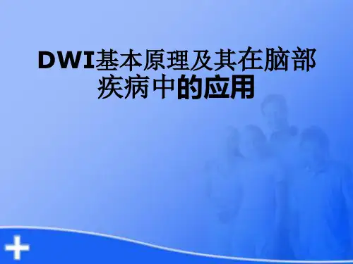 DWI基本原理及其在脑部疾病中的应用【2024版】