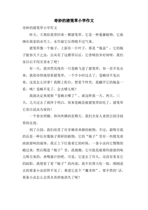奇妙的猪笼草小学作文