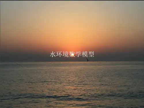 水环境数学模型