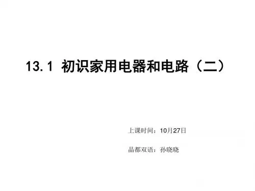 苏科版九年级物理上册课件:13.1初识家用电器和电路(2