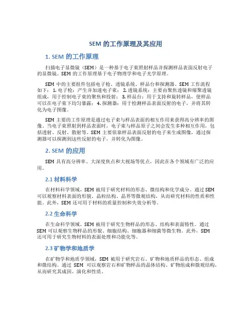 SEM的工作原理及其应用
