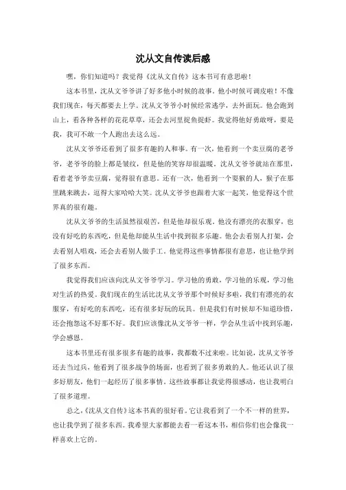 沈从文自传读后感