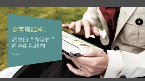 金字塔组织结构图ppt