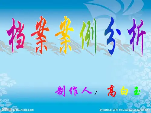 档案案例分析