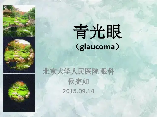 课程资料：青光眼2015(侯宪如