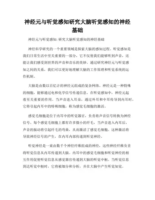 神经元与听觉感知研究大脑听觉感知的神经基础