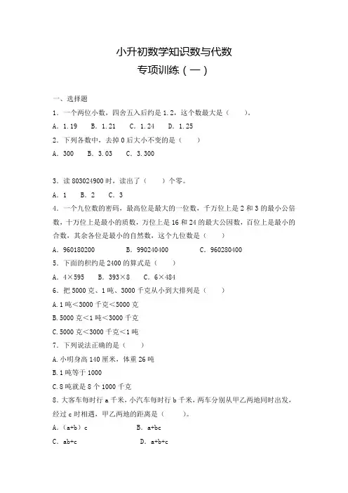 【精品】小升初数学知识数与代数专项训练(一)(23页)
