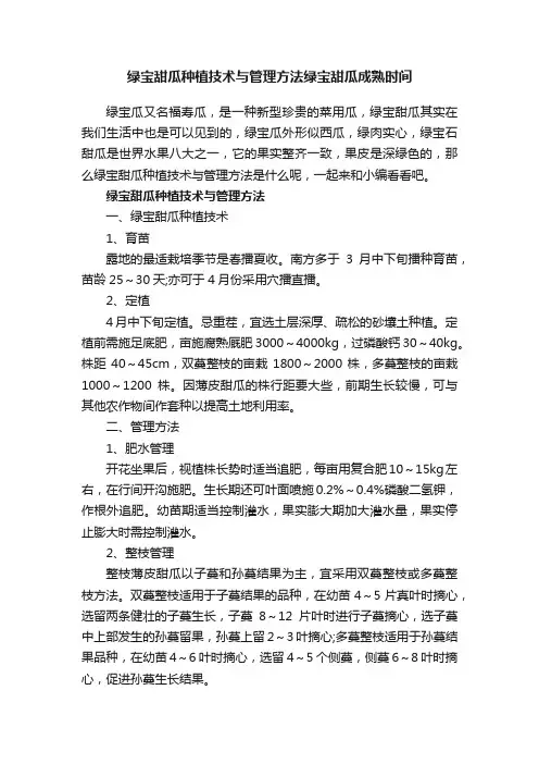 绿宝甜瓜种植技术与管理方法绿宝甜瓜成熟时间