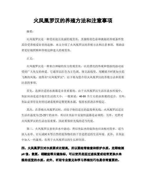 火凤凰罗汉的养殖方法和注意事项
