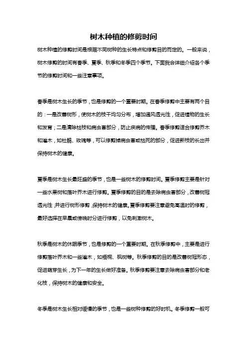 树木种植的修剪时间