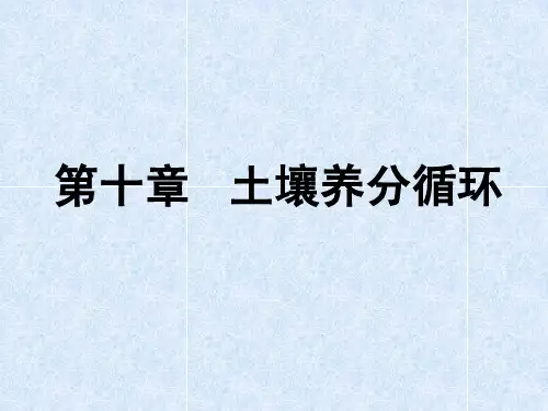 第十章 土壤养分循环(玉溪)