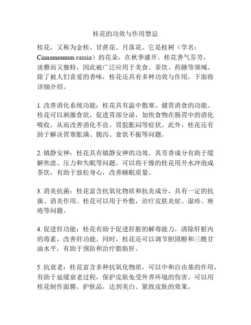 桂花的功效与作用禁忌
