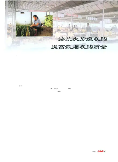 按炕次分级收购  提高散烟收购质量