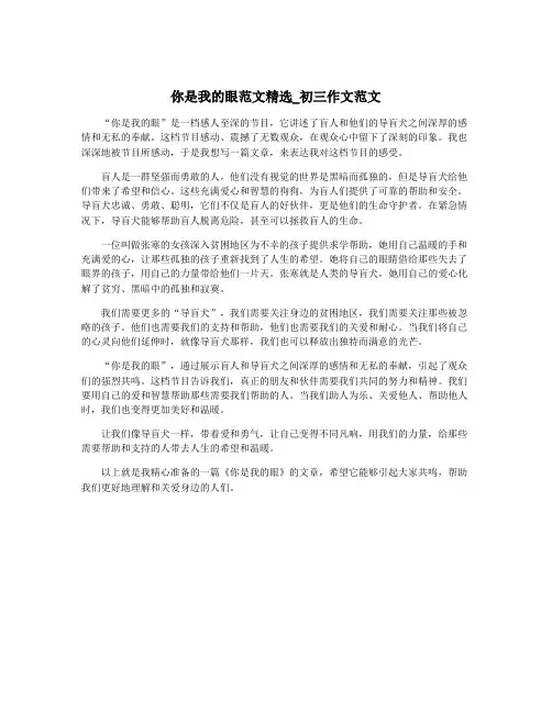你是我的眼范文精选_初三作文范文