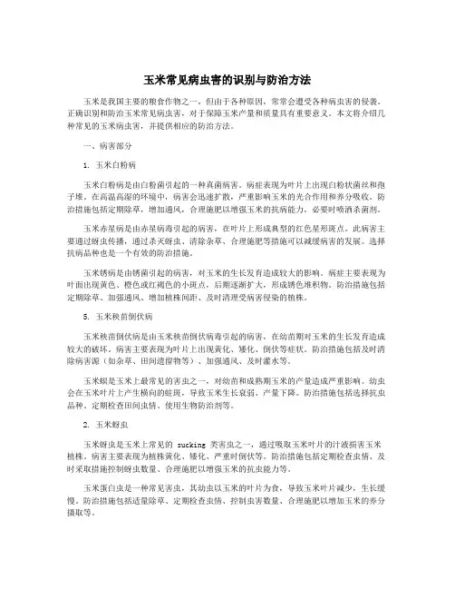 玉米常见病虫害的识别与防治方法