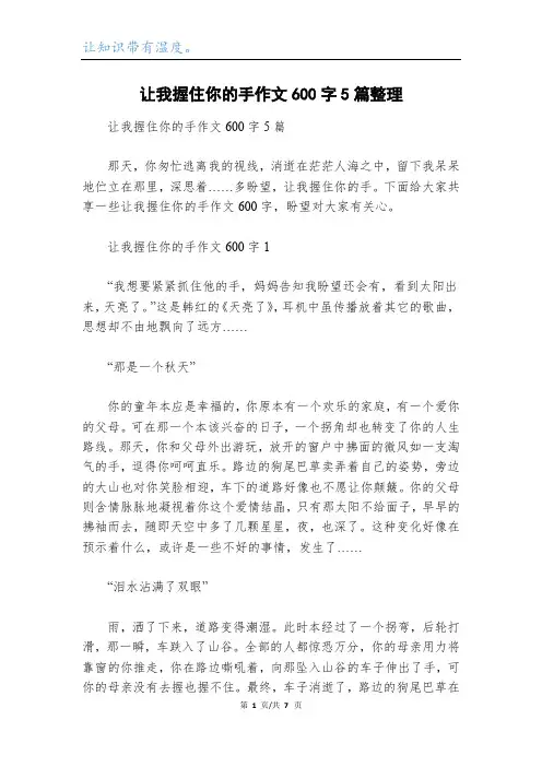 让我握住你的手作文600字5篇整理