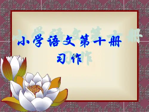 介绍你的好朋友PPT教学课件