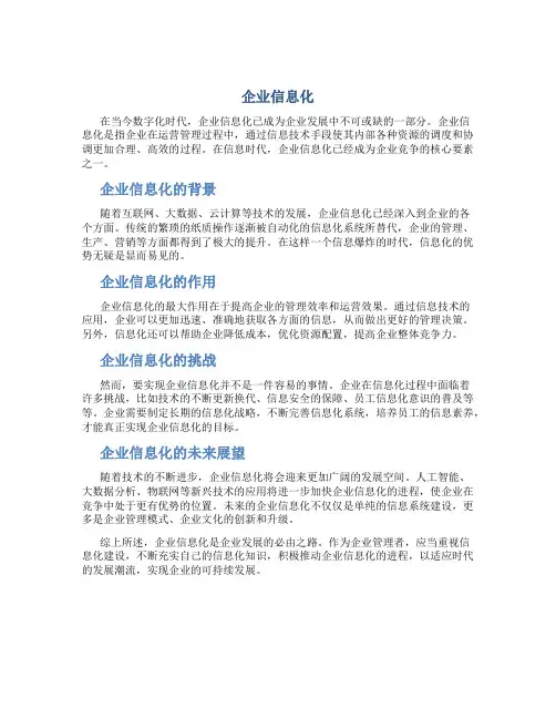 企业信息化