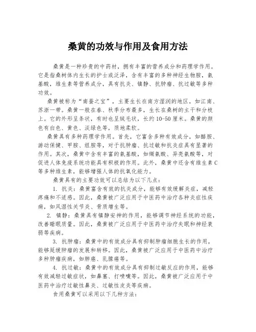 桑黄的功效与作用及食用方法