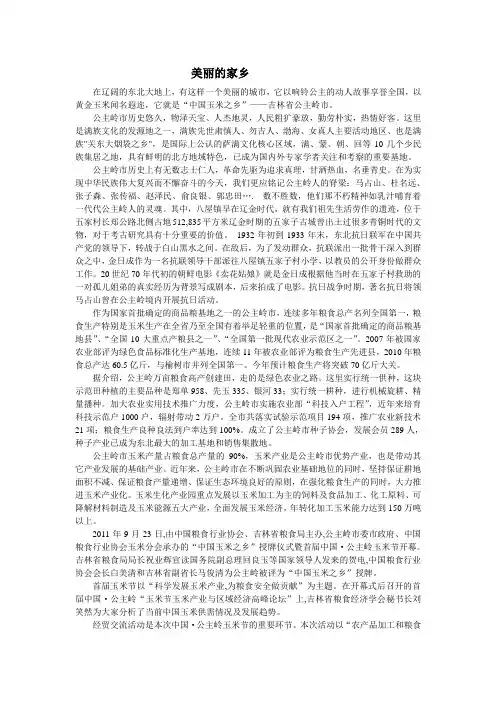 公主岭文化 美丽的家乡