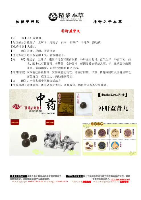 补肝益肾丸