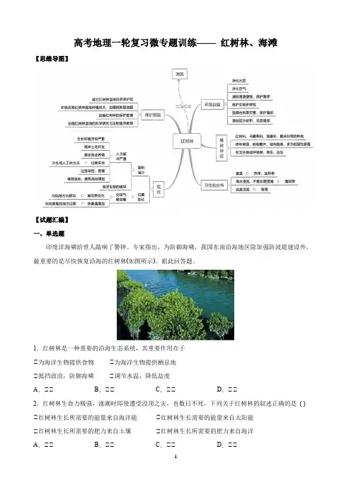 2021年高考地理一轮复习——红树林、海滩
