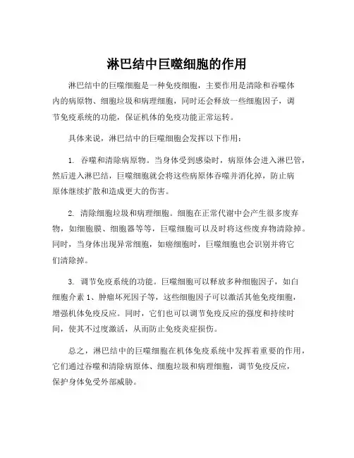 淋巴结中巨噬细胞的作用