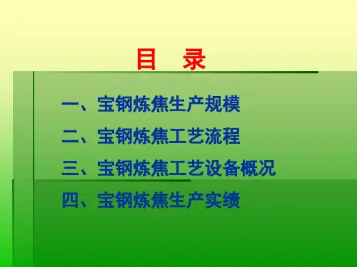 宝钢炼焦工艺与设备