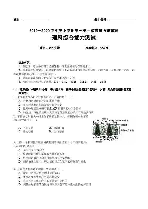 辽宁省辽南协作校2019-2020学年度下学期高三第一次模拟考试理科综合试卷带答案