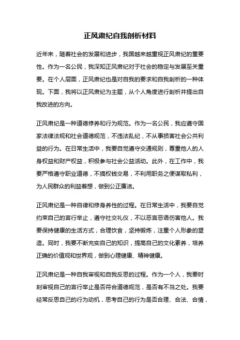 正风肃纪自我剖析材料