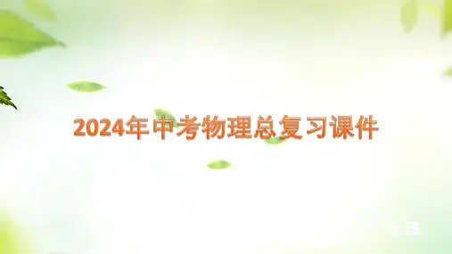 2024年中考物理总复习课件：专题一 示意图