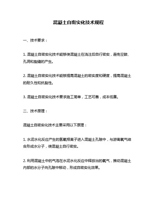 混凝土自密实化技术规程