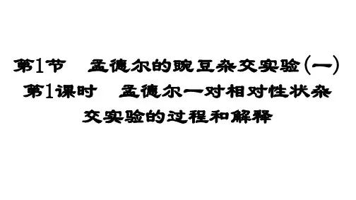 高中生物人教(2019)必修2第1章第1节第1课时 孟德尔一对相对性状杂交实验的过程和解释