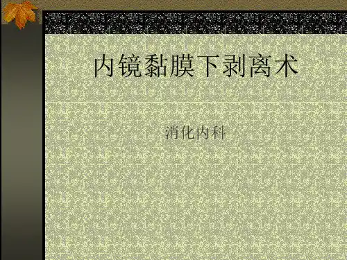 2022年医学专题-内镜粘膜下剥离术(ESD)
