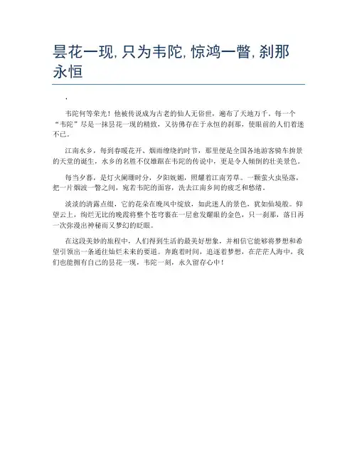 昙花一现,只为韦陀,惊鸿一瞥,刹那永恒