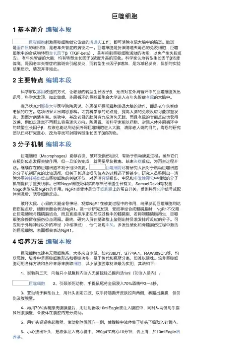 巨噬细胞——精选推荐