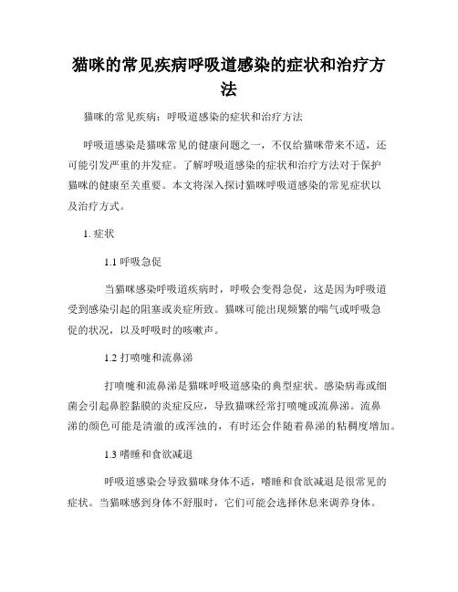 猫咪的常见疾病呼吸道感染的症状和治疗方法