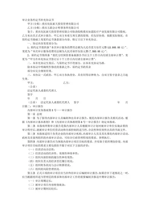 审计报告补充说明
