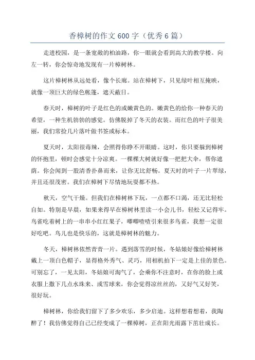 香樟树的作文600字(优秀6篇)