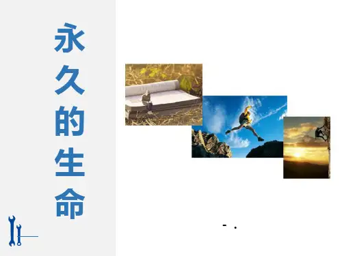 《永久的生命》PPT优秀课件
