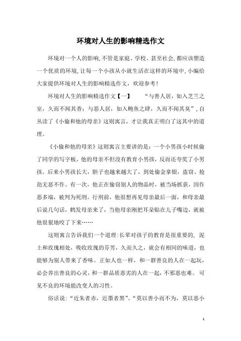 环境对人生的影响精选作文