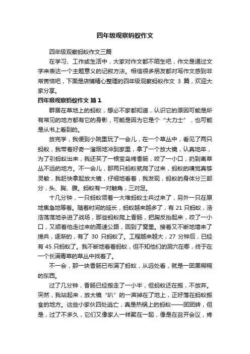 四年级观察蚂蚁作文