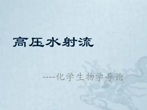 高压水射流(化学生物)