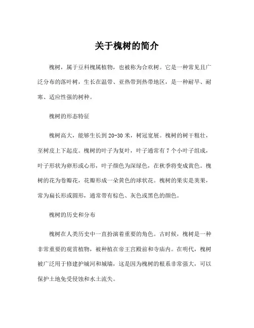 关于槐树的简介