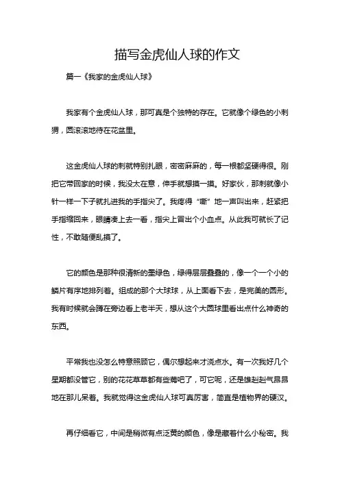 描写金虎仙人球的作文