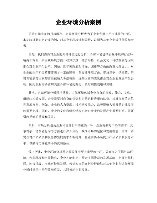 企业环境分析案例